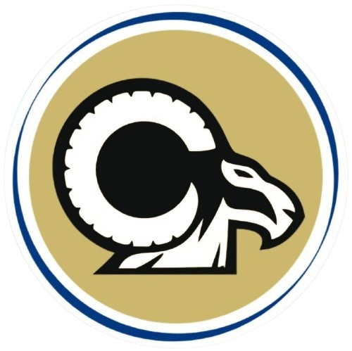 Logo de Transportes Borrego